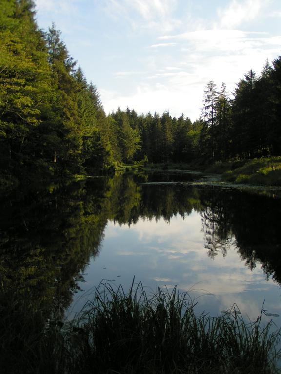 Anchor Inn Hotel Prince Rupert Zewnętrze zdjęcie